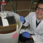 Case awarded NSF Graduate Research Fellowship (2010)